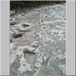 100_0812 (2009-27-07)m.JPG